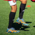 Pre-Academy Socks