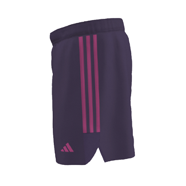 WSW adidas 24/25 Purple GK Shorts